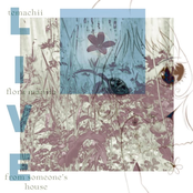 Temachii: flora maniia (live from someone's house)