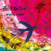夜と太陽のDNA