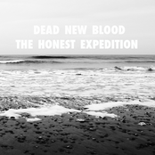 The Honest Expedition E.P.