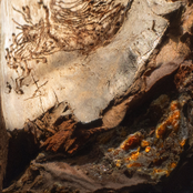 Earth Memory Colander