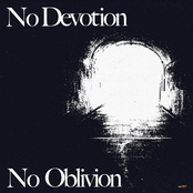 No Devotion: Starlings