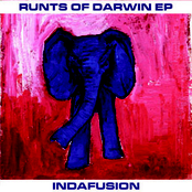 Runts of Darwin EP