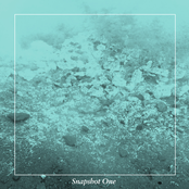 Snapshot One
