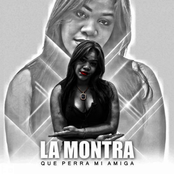 Que Perra Mi Amiga