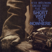 Short Visit To Nowhere by Peter Brötzmann Chicago Tentet Plus Two