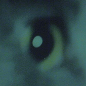 Point Light Lumière