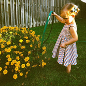 Juniper Honey: Juniper Honey