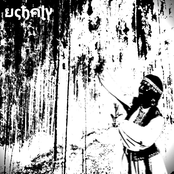 Бүре Культы