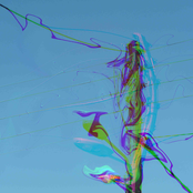 Music for the Lampads