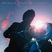 On The Ledge by Richard Hawley