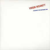 For A While by Virgin Insanity