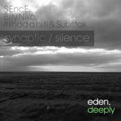 Synaptic / Silence