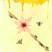 Rome Wasn't Built in a Day