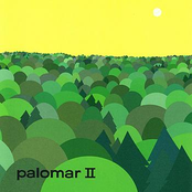 Knockout by Palomar