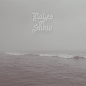 The Fog and the Tide