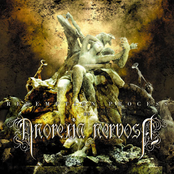 Antiferno by Anorexia Nervosa