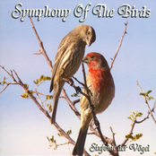 Symphony Of The Birds (Sinfonie Der Voegel)