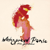 Tickle The Truth by Widespread Panic