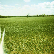 Wheat Repeat EP