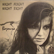 Night Flight Night Sight