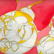 Hierarchitectitiptitoploftical