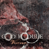God Module: Viscera