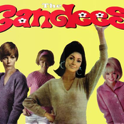 the candees