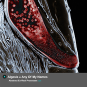 Abstract Ex-Real Processes