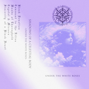 Under the White Roses