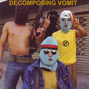 Decomposing Vomit