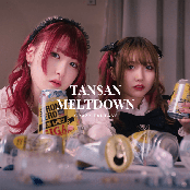 TANSAN MELTDOWN