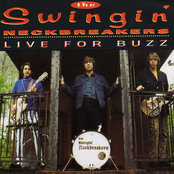 I Live For Buzz by The Swingin' Neckbreakers