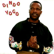 Dindo Yogo