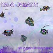 With no Particular Purpose or Reason