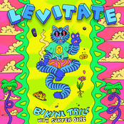 Levitate (with Surfer Girl)