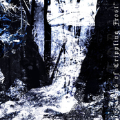 Seasons Of Crippling Frost (EP)