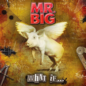 Nobody Left To Blame by Mr. Big