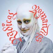 Fever Ray - Radical Romantics Artwork