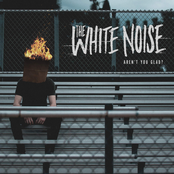 The White Noise: Aren't You Glad?