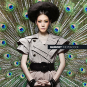 Peacock 001
