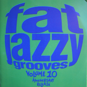 Fat Jazzy Grooves, Volume 10
