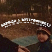 All of the Things I Wish to Say, but Don't