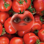 Big Tomatoes