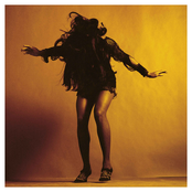 The Last Shadow Puppets: Everything You've Come To Expect (Deluxe Edition)
