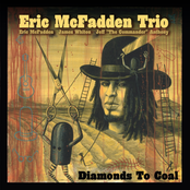 Eric Mcfadden Trio: Diamonds to Coal