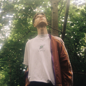 Falling In The Woods