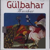 gülbahar