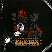 Miracles by Fly My Pretties