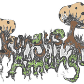 Fungus Amungus