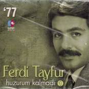 Sevgili Yarim by Ferdi Tayfur